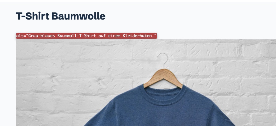 Screenshot: Produktfoto mit Ausgabe der Alt-Texte der Bilder via Web Developer Toolbar – "grau-blaues T-Shirt auf einem Kleiderbügel'.