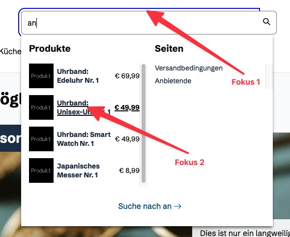 Screenshot der beiden Fokusarten in einer Combobox. Erstens: Fokusindikator um Eingabefeld, zweitens: Fokusindikator um einen einzelnen Vorschlag in der Liste.